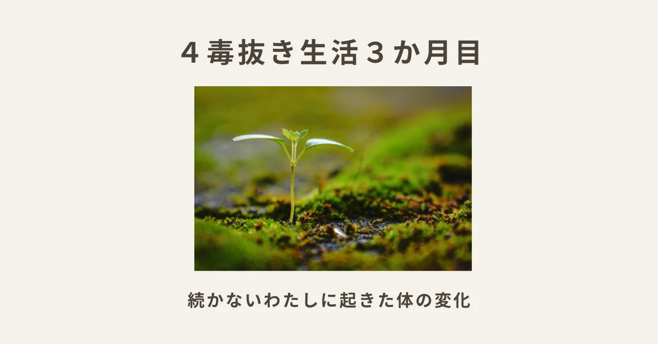４毒抜き生活3か月目｜続かないわたしに起きた変化