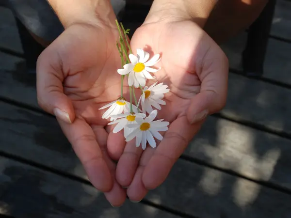 父に愛を与えることができたわたし