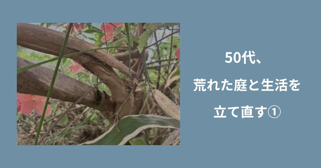 50代、荒れた庭と生活を立て直す①