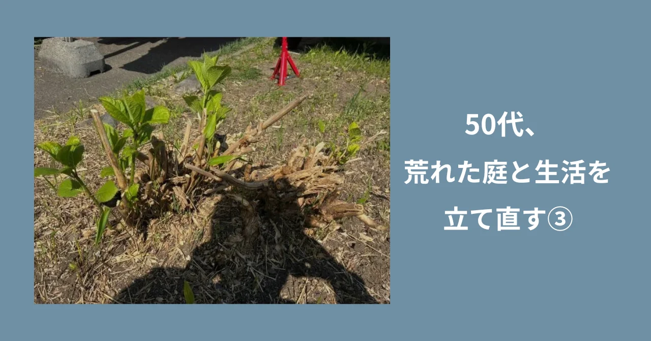 50代、荒れた庭と生活を立て直す③