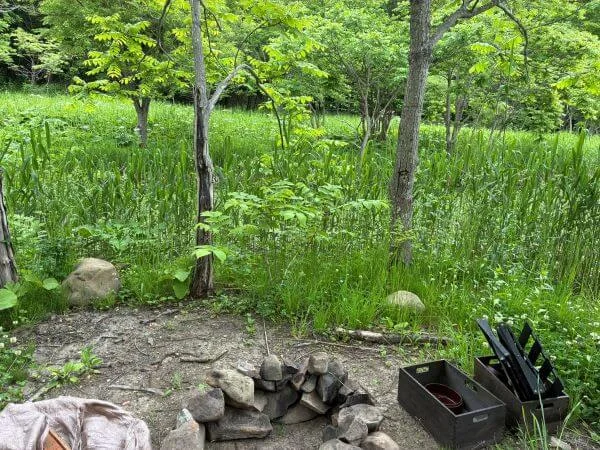 湯の元温泉キャンプ場すぎうらんど自然豊かなフィールド