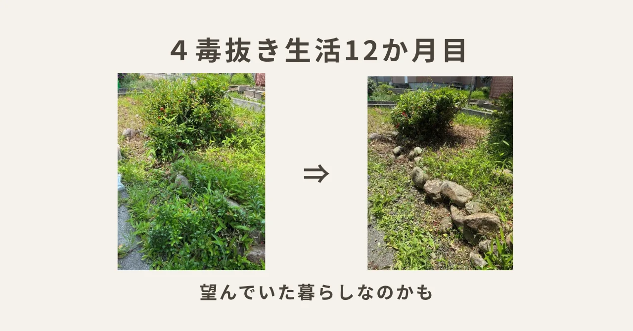 4毒抜き生活12か月目｜もしかすると、ずっと望んでいた暮らしなのかもしれません