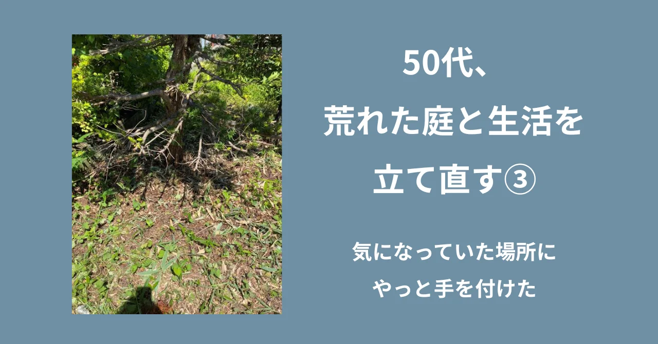 50代、荒れた庭と生活を立て直す④｜気になっていた場所にやっと手を付けた